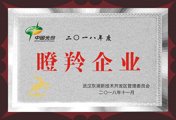 鴻鐳激光獲評(píng)2018年度瞪羚企業(yè)